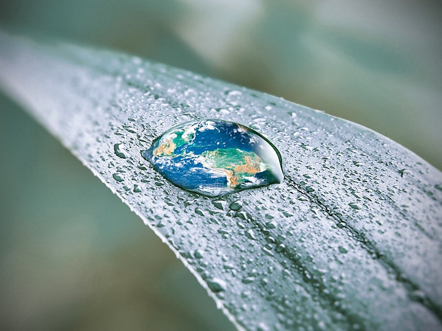 wassertropfen auf einem blatt mit unscharfem hintergrund