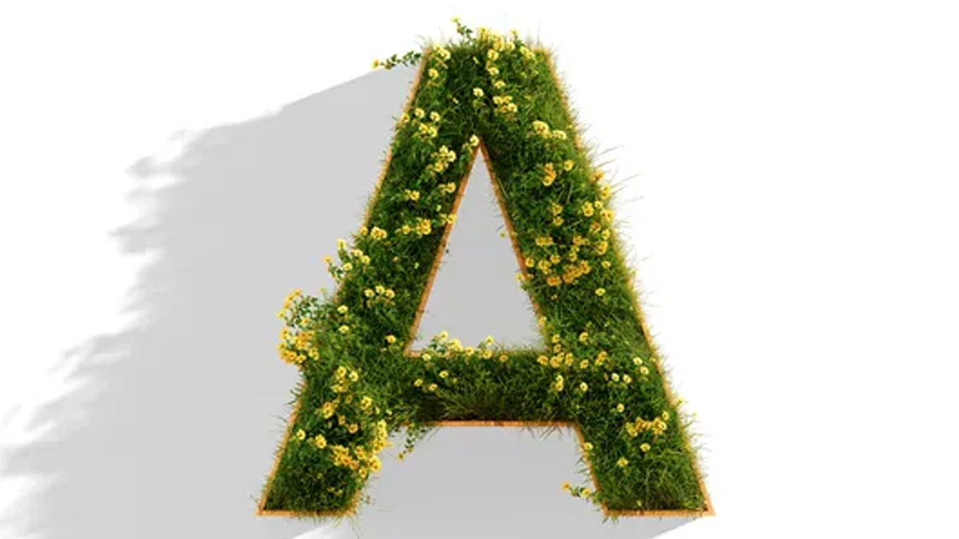 Energieeffizienzklasse A Großer Buchstabe A mit Gras und gelben blumen